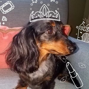 Meet your Posher, Sophia
